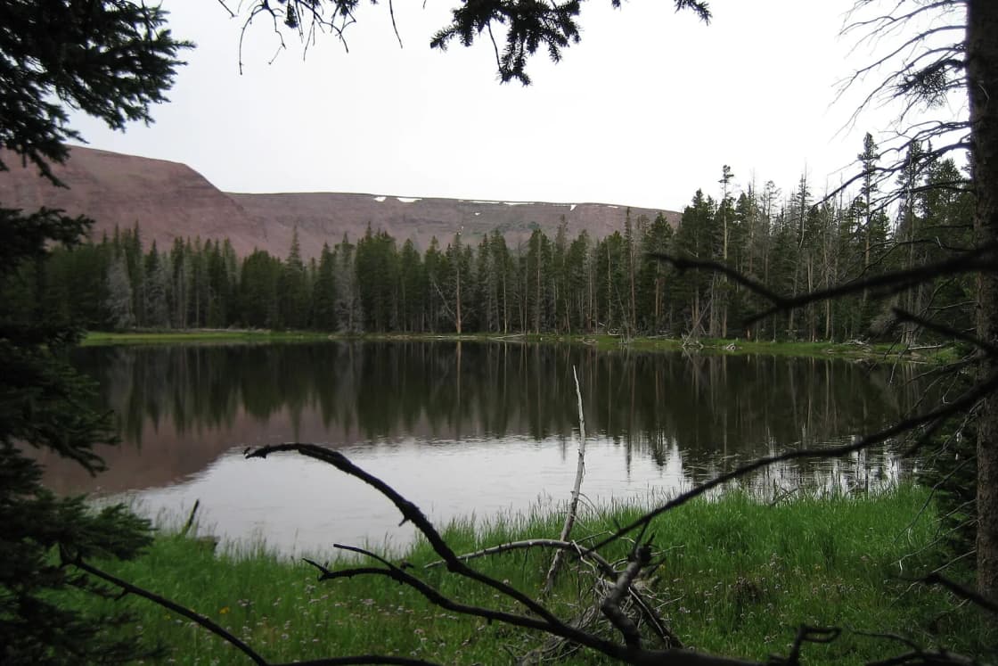A calm Uinta Mountains lake framed by pines, with a red rock ridge and lingering snow beyond.