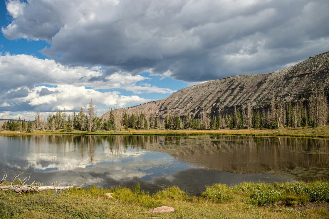A still alpine lake on the Uinta Highline Trail reflects clouds and a long, tree-dotted ridge, with grass and rocks on the near shore.