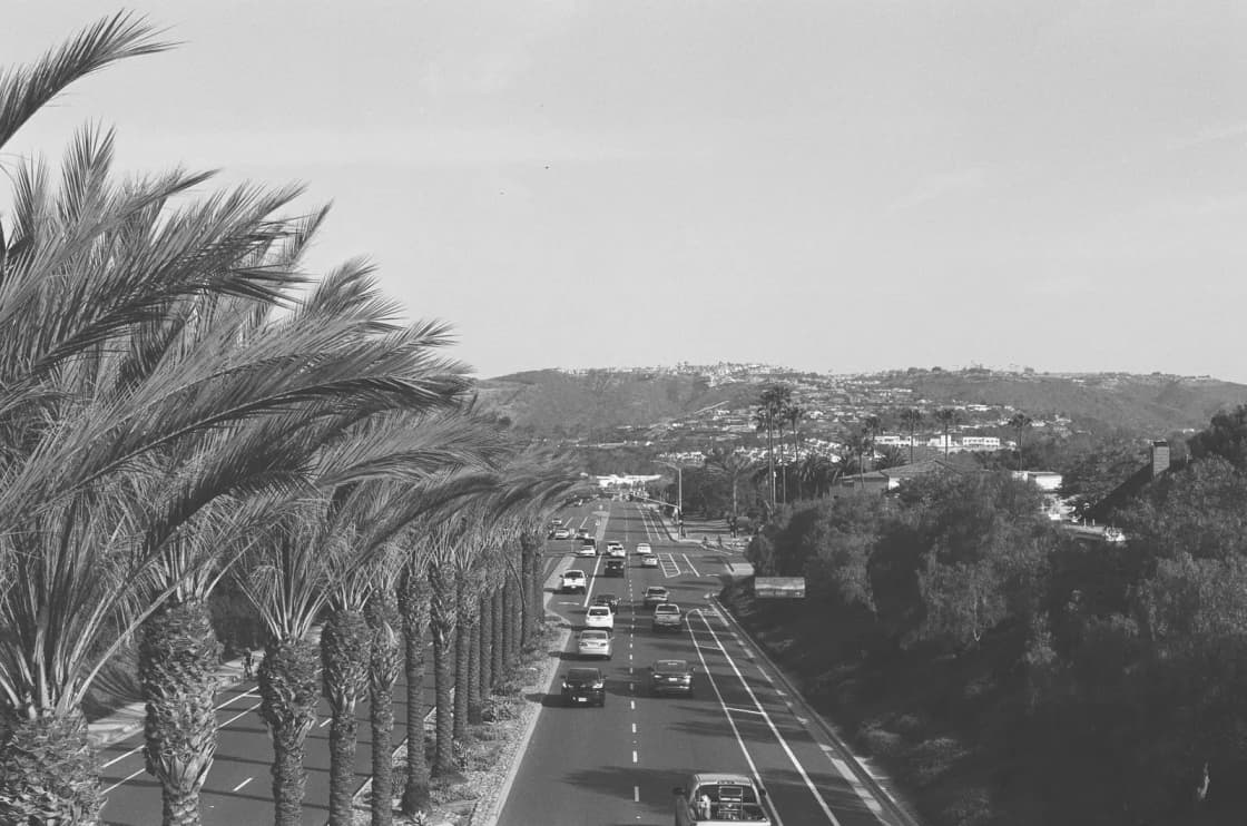 A monochrome aerial view of a highway lined with palm trees, cars in motion