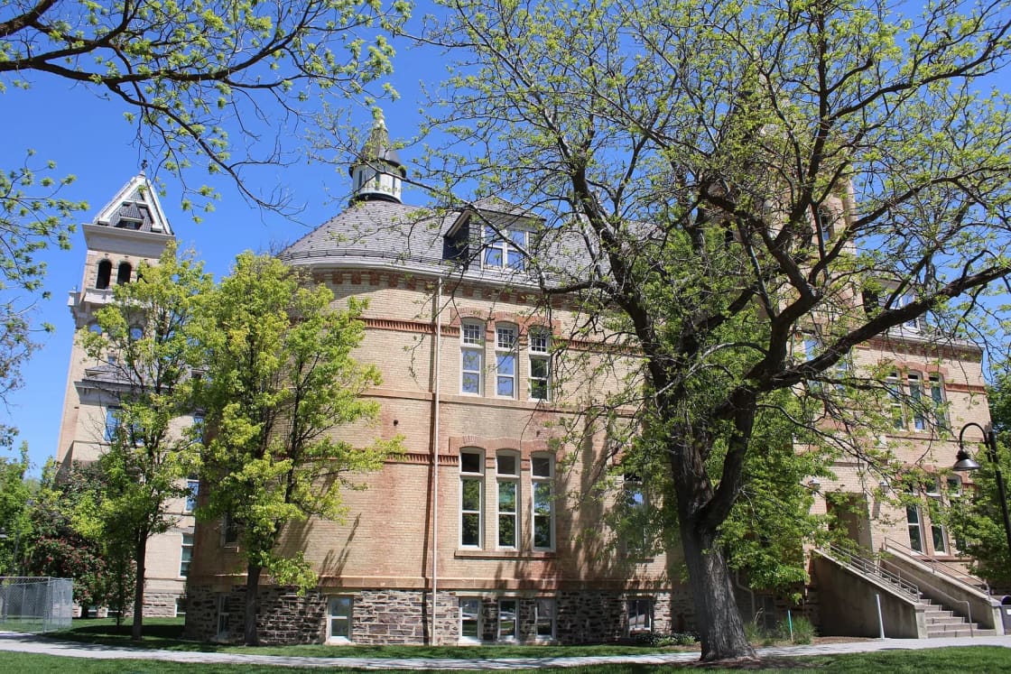 A historic brick college building with a stone base and a bell tower, partly screened by spring trees.