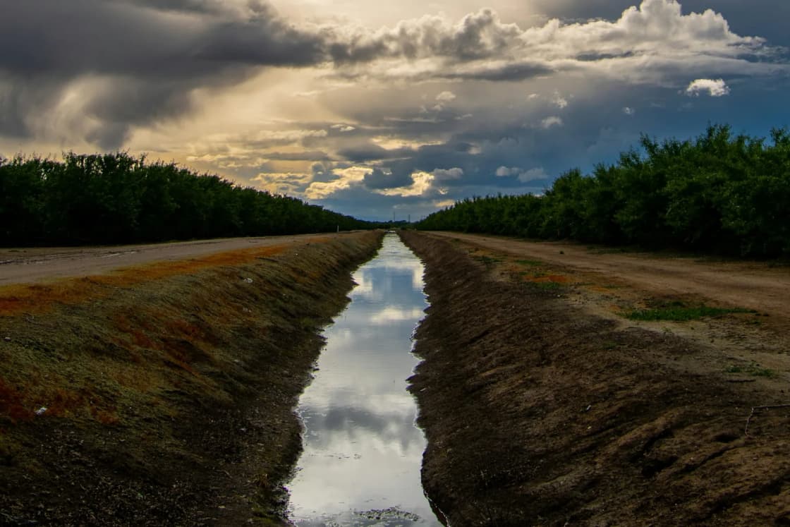 A straight dirt irrigation ditch holding a ribbon of water between rows of trees, storm clouds building overhead