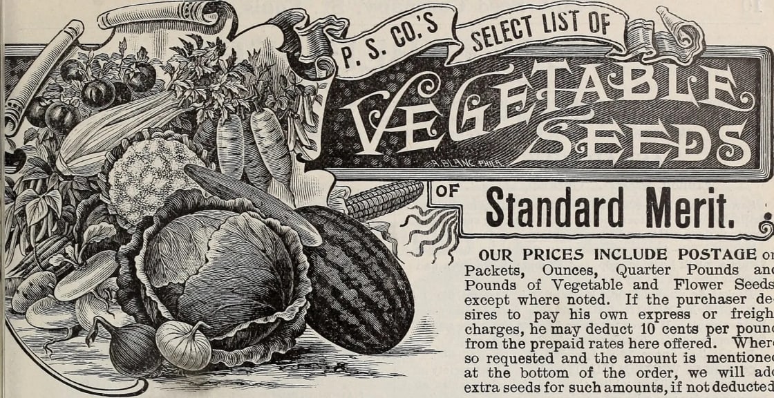 A color lithograph seed catalog cover showing illustrated vegetables and garden produce