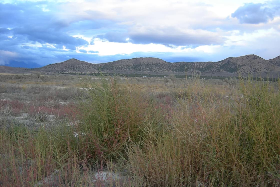 Open sagebrush and grassland near Eagle Mountain under a cloudy evening sky, with low hills on the horizon.