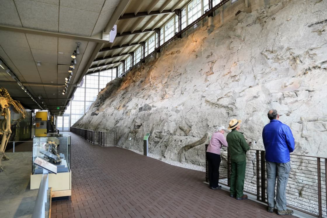 Three visitors and a park ranger in a wide-brimmed hat leaning on a railing to look at a tall rock face studded with exposed dinosaur bones inside a glass-walled exhibit hall