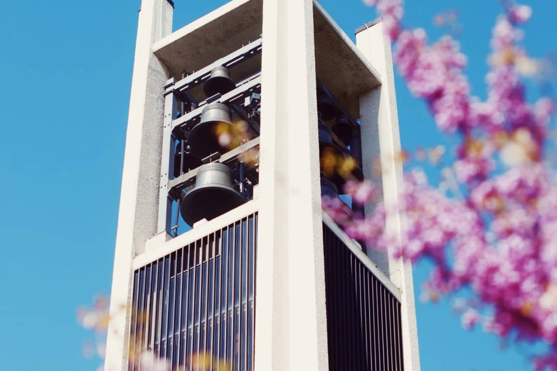 The white BYU Carillon Tower against a blue spring sky, pink redbud blossoms in the foreground