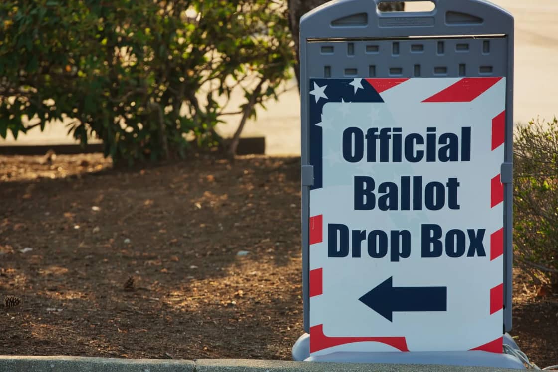 A stars-and-stripes sign reading Official Ballot Drop Box with an arrow, standing on a curb beside a shrub