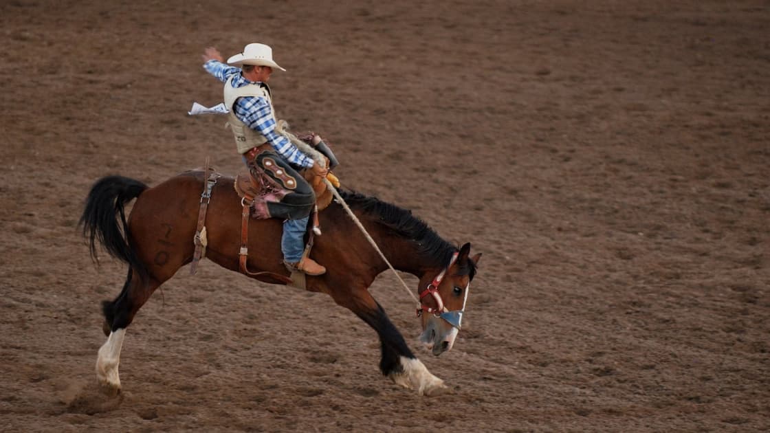 A saddle bronc rider in a white hat and plaid shirt holds on as a bay horse bucks across the dirt of a rodeo arena in Nephi, Utah