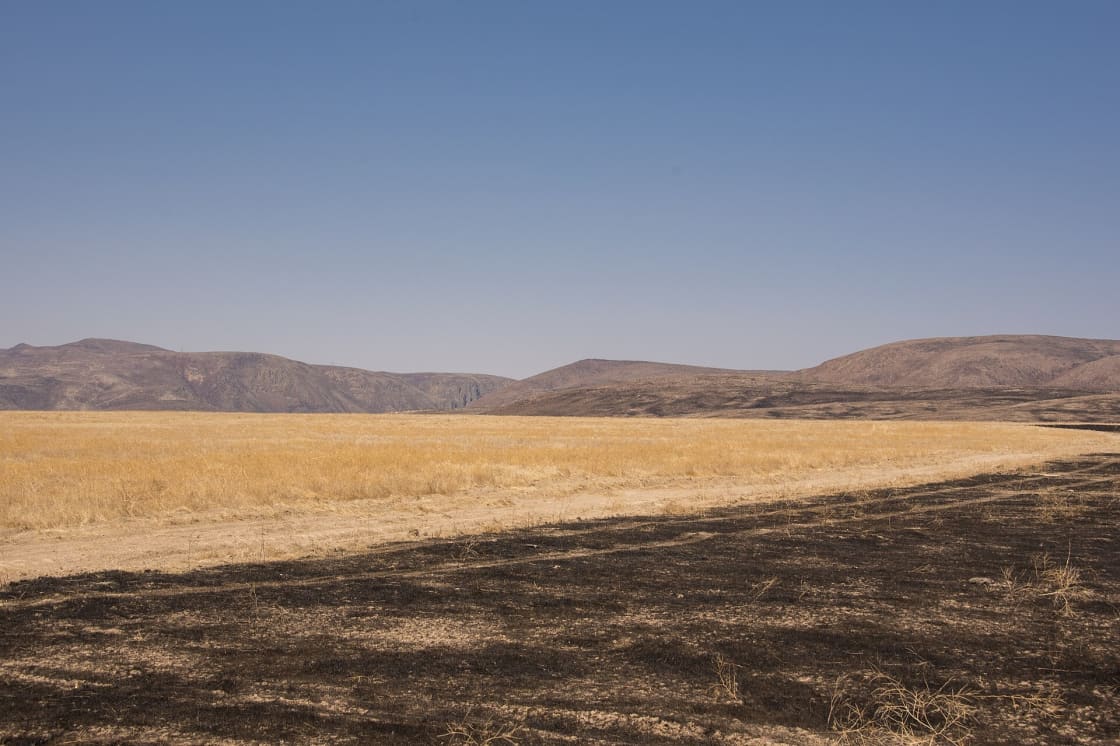 A burned black field stopping abruptly at a bare dirt fuel break, with unburned golden grass beyond it and arid hills on the horizon