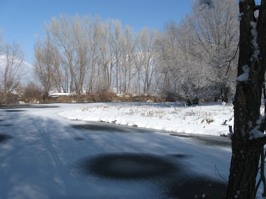 The Provo River frozen over and banked with deep snow, frost-covered cottonwoods along the far bank under a clear blue winter sky