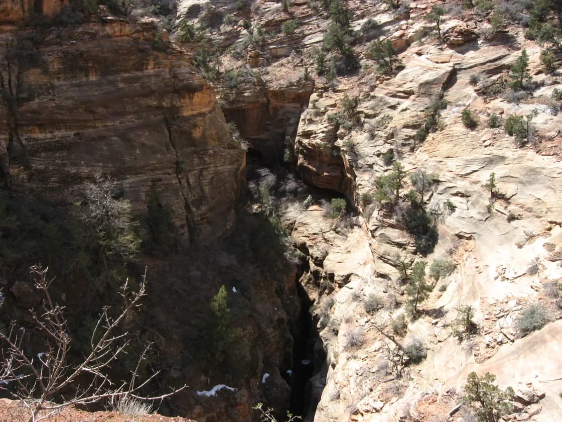 The view down into the canyon from the Canyon Overlook Trail in Zion National Park