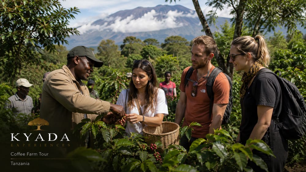 Coffee Farm Tour — Kyada Experiences