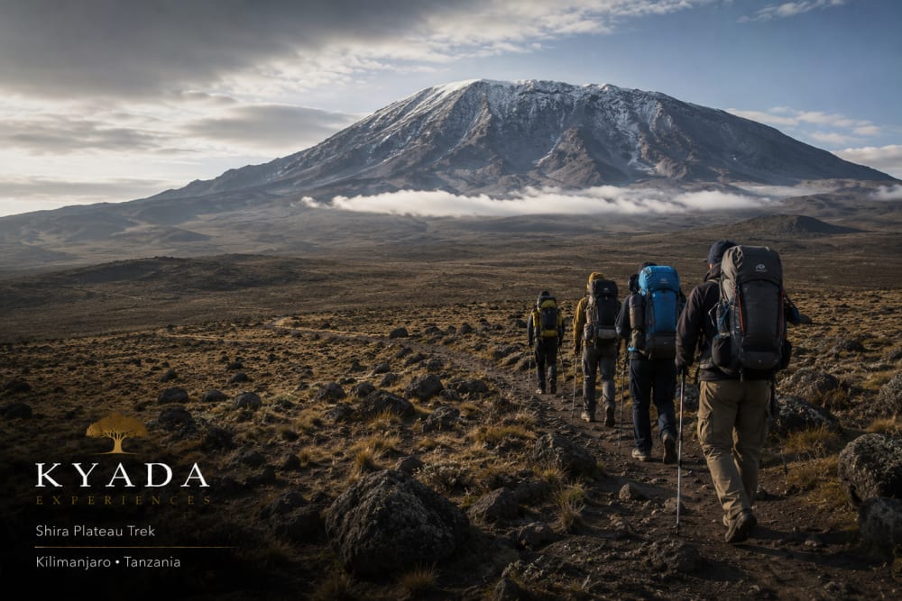 Shira Plateau Trek — Kyada Experiences
