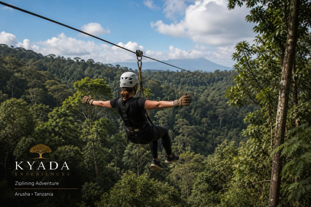 Ziplining Adventure — Kyada Experiences