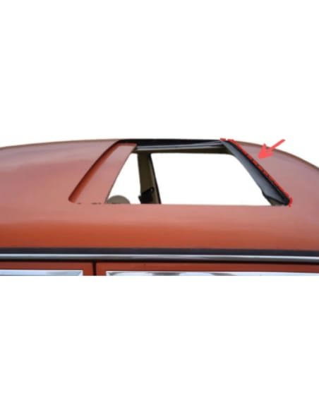 Schuifdakborstel Achter W123 W126 W108 W109 W110 W112 W114 W115 - 1157820198 - A1157820198