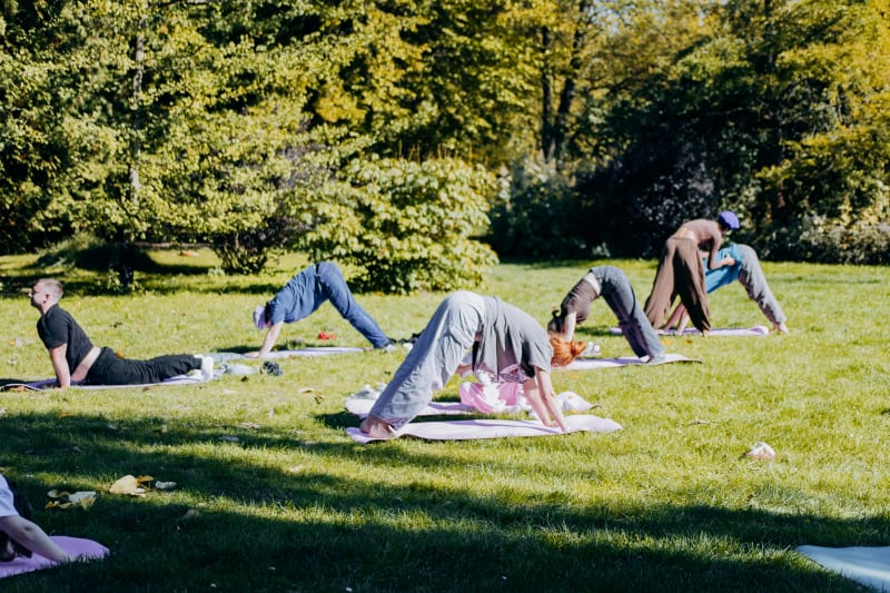 Plener po Francusku — Edycja Dopaminowa, zdjęcie 12