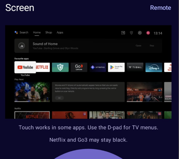 TV Remote
