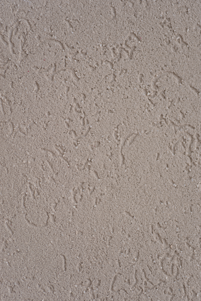 Beige Roma