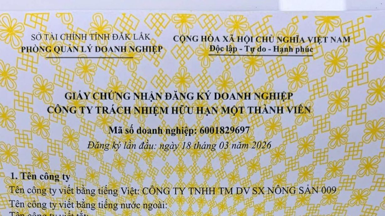 企业法律信息