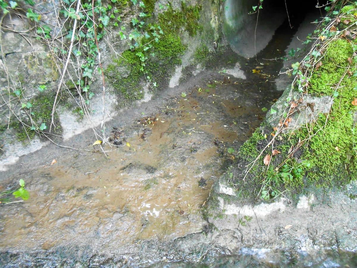 Pilotprojekt Gewässermonitoring, Aabach Lenzburg – Bauherrenberatung – VZP Ingenieure AG