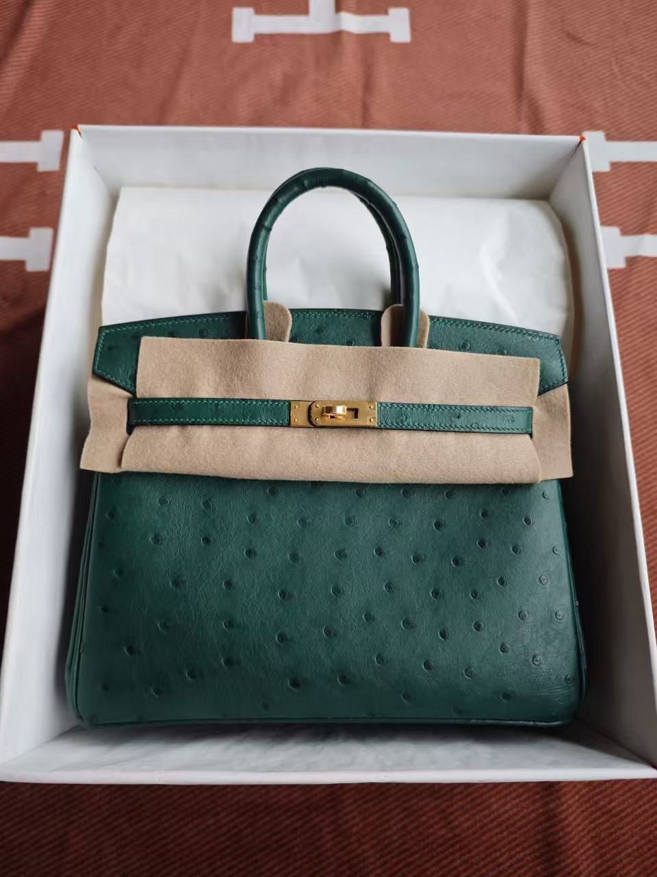 Birkin 25 Ostrich