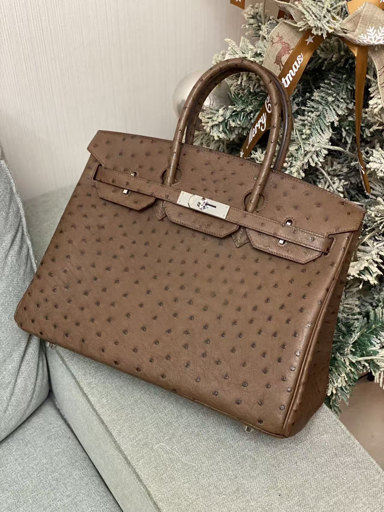 Birkin 35 Ostrich