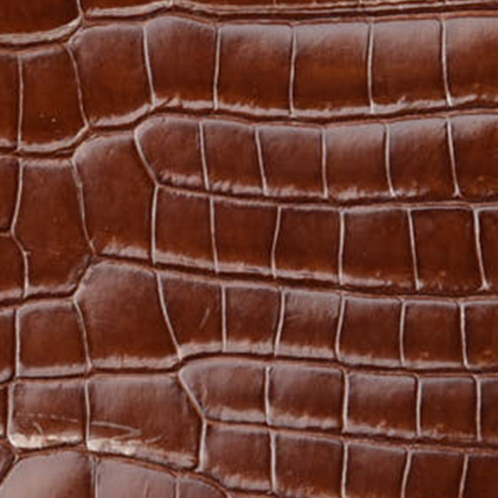 Crocodile: History, Character & Care — The Ultimate Collector's Guide