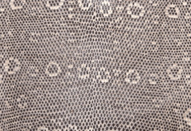 Salvator lizard close-up: beige base with natural brown rings — the signature pattern of Hermès' second lizard.