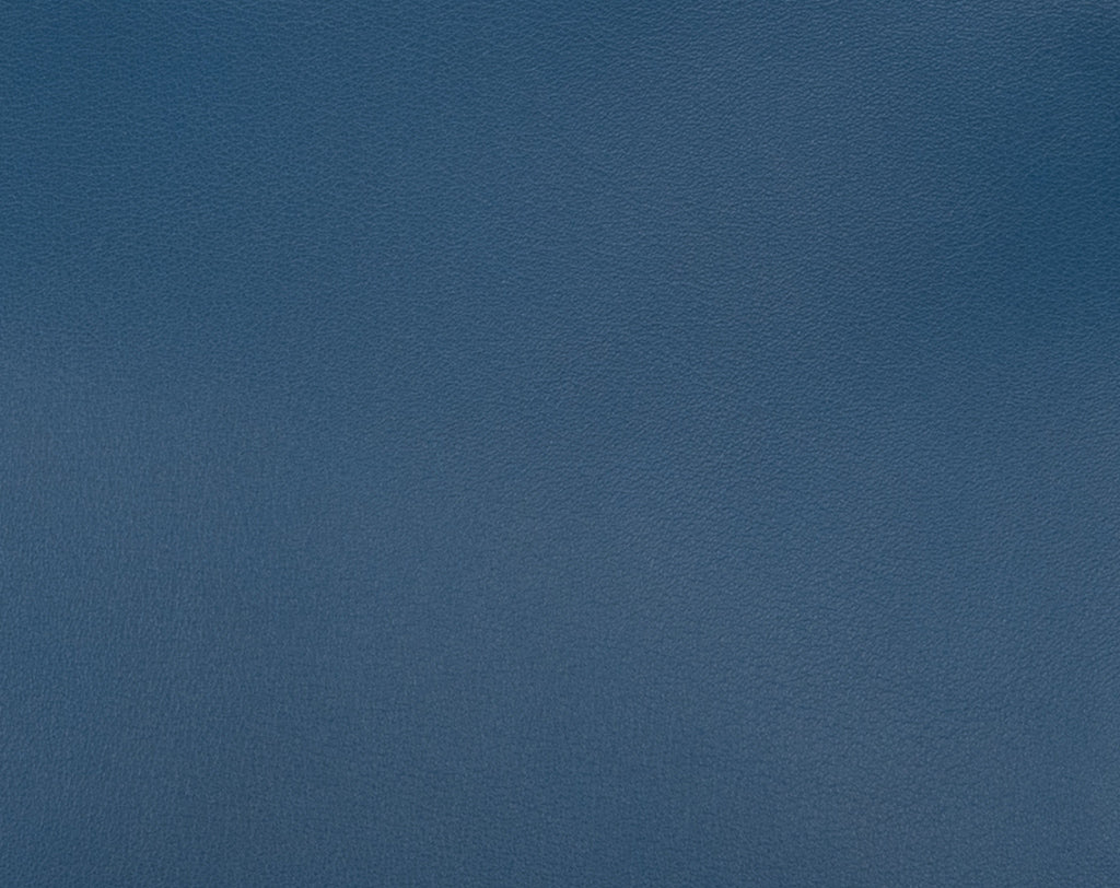 Swift: History, Character & Care — The Ultimate Collector's Guide