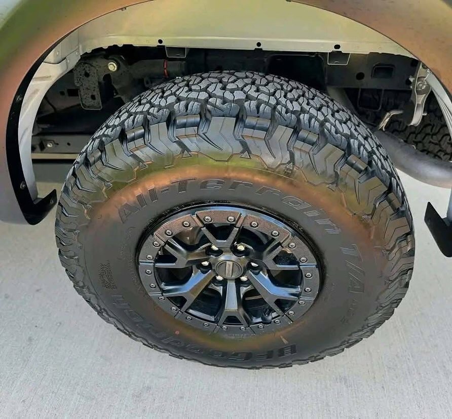 Ford Raptor R. view 6