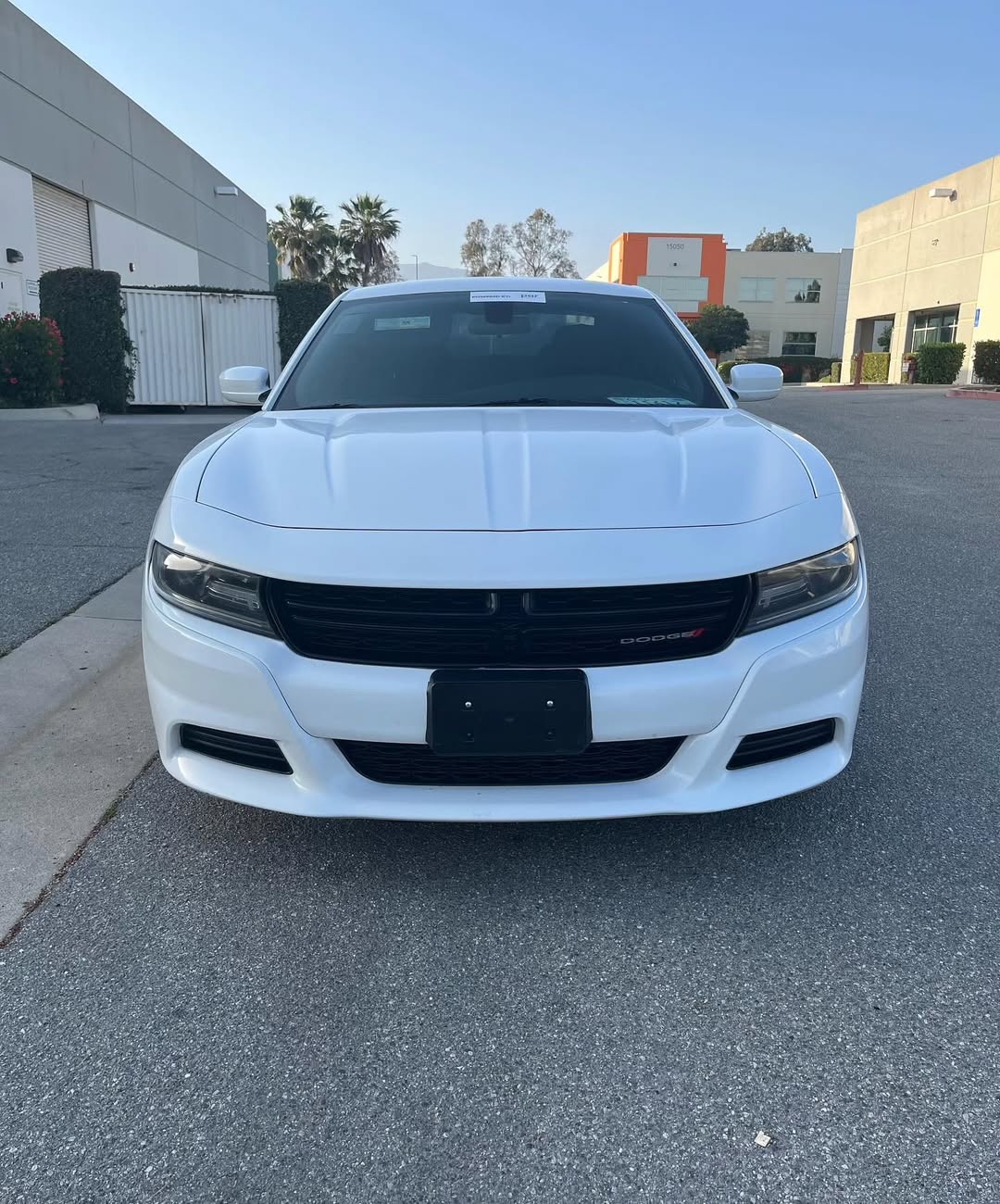 2019 Dodge CHARGER SXT for sale