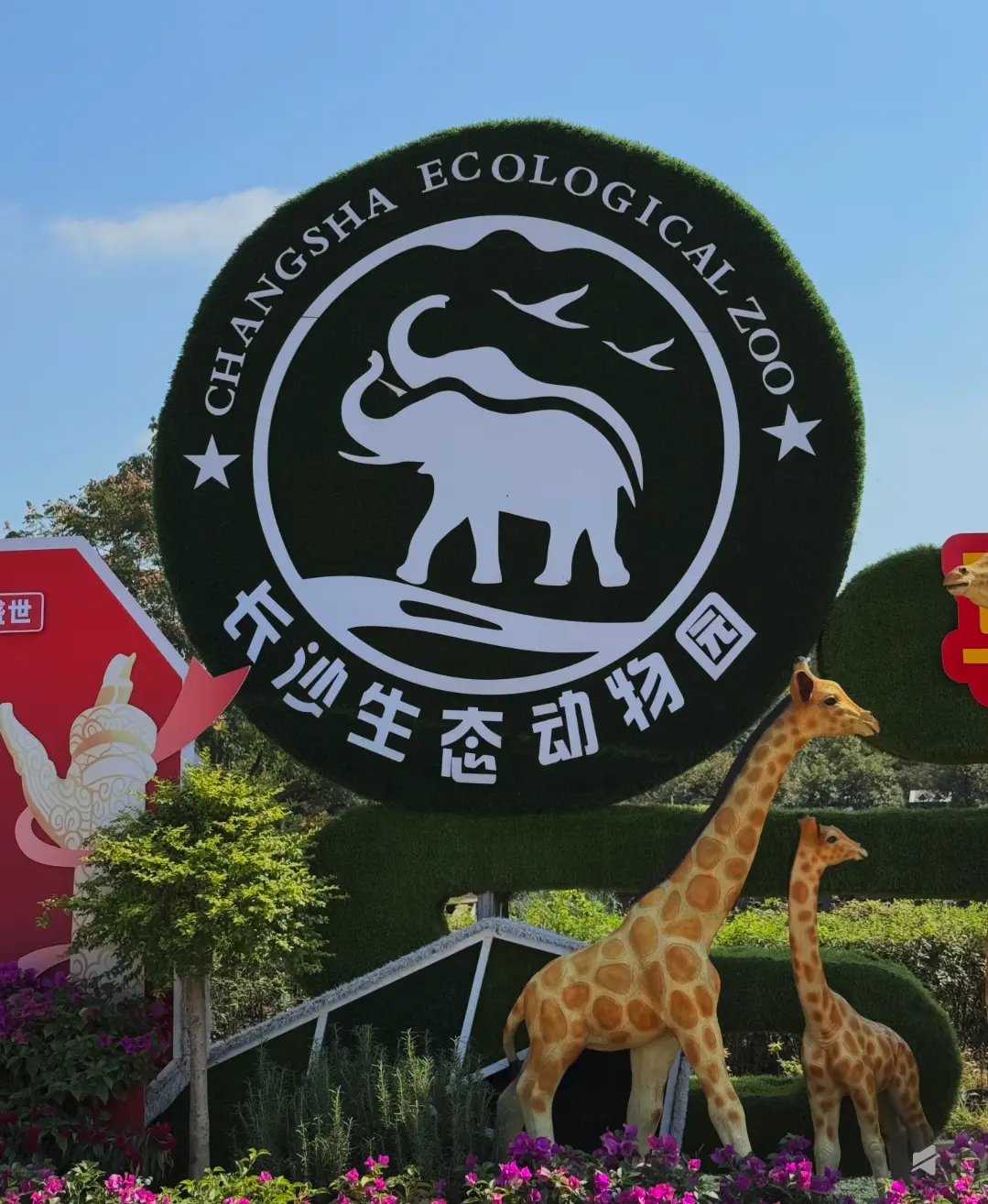 图片占位：Zoo-themed shuttle