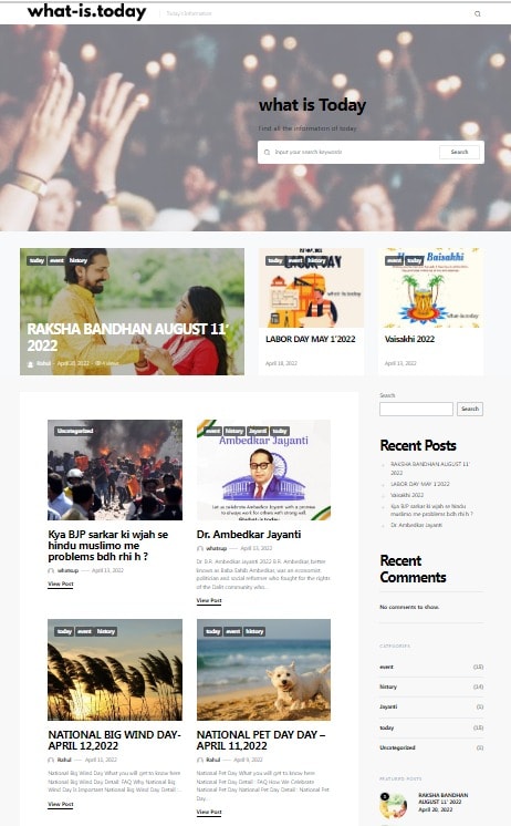 Website Design Portfolio 7 what is.today website by