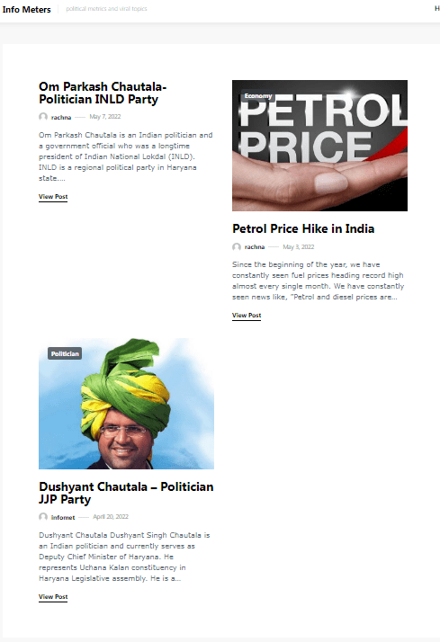 Website Design and Development Service 22 infometer website by