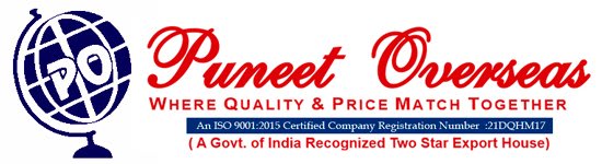 Website Design and Development Service 17 puneetlogo