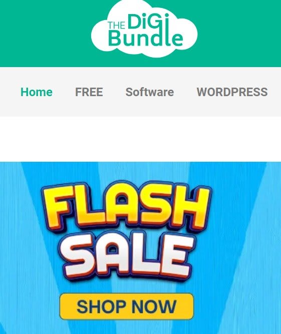 Digital Products Website Design and Development 3 the digi bundle