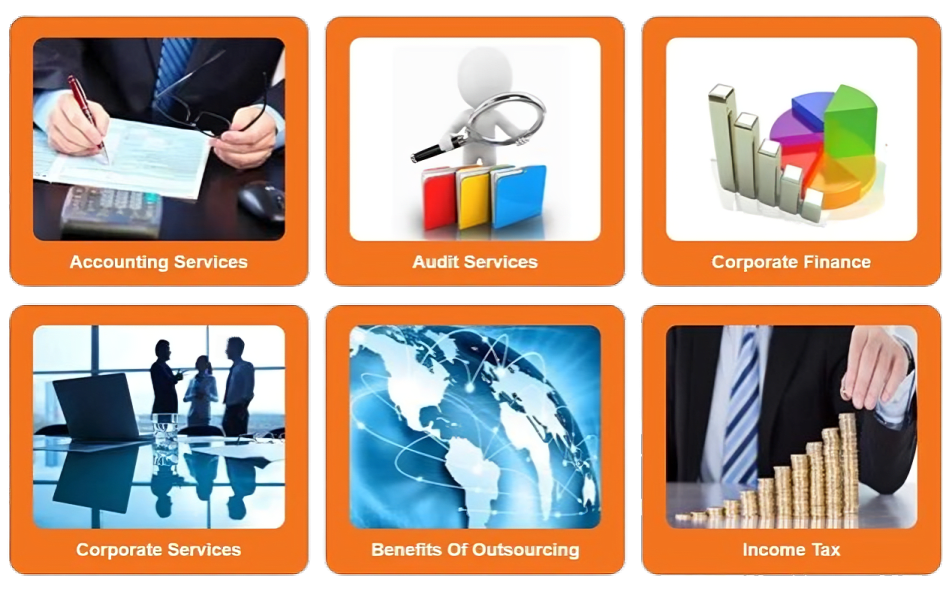 CA Charted Accountant Website Design and Development 3 ca charted 1