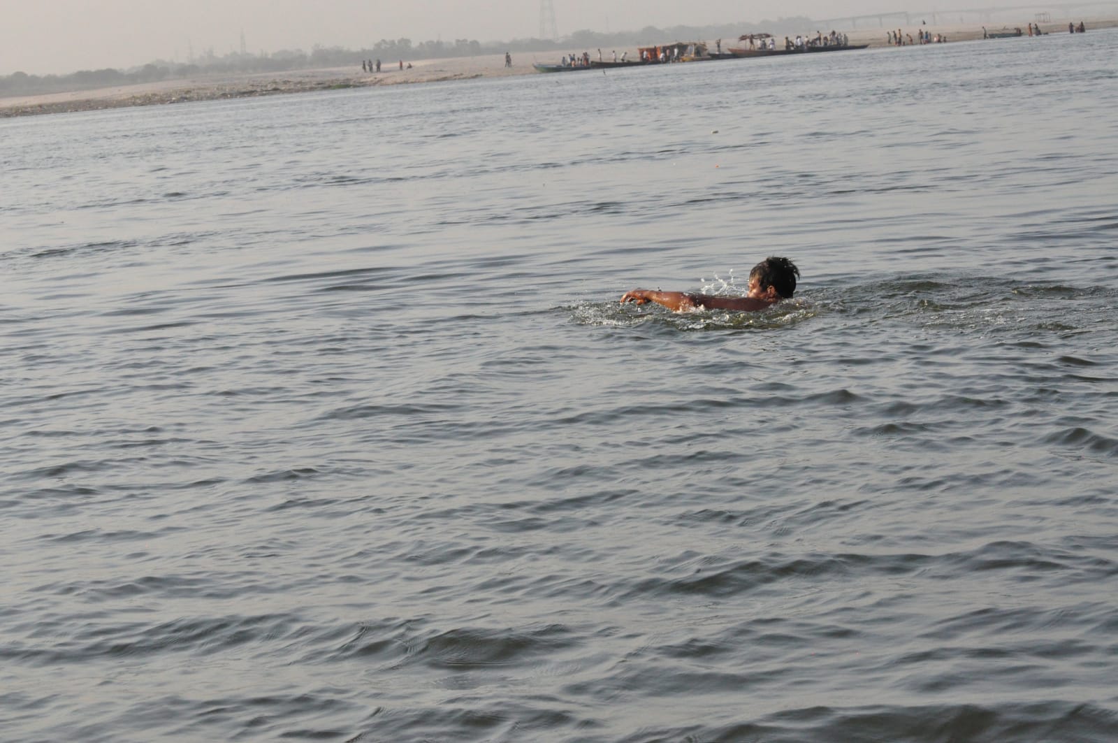 Pandu swimming in open water, with the far bank of the Ganges in the distance.