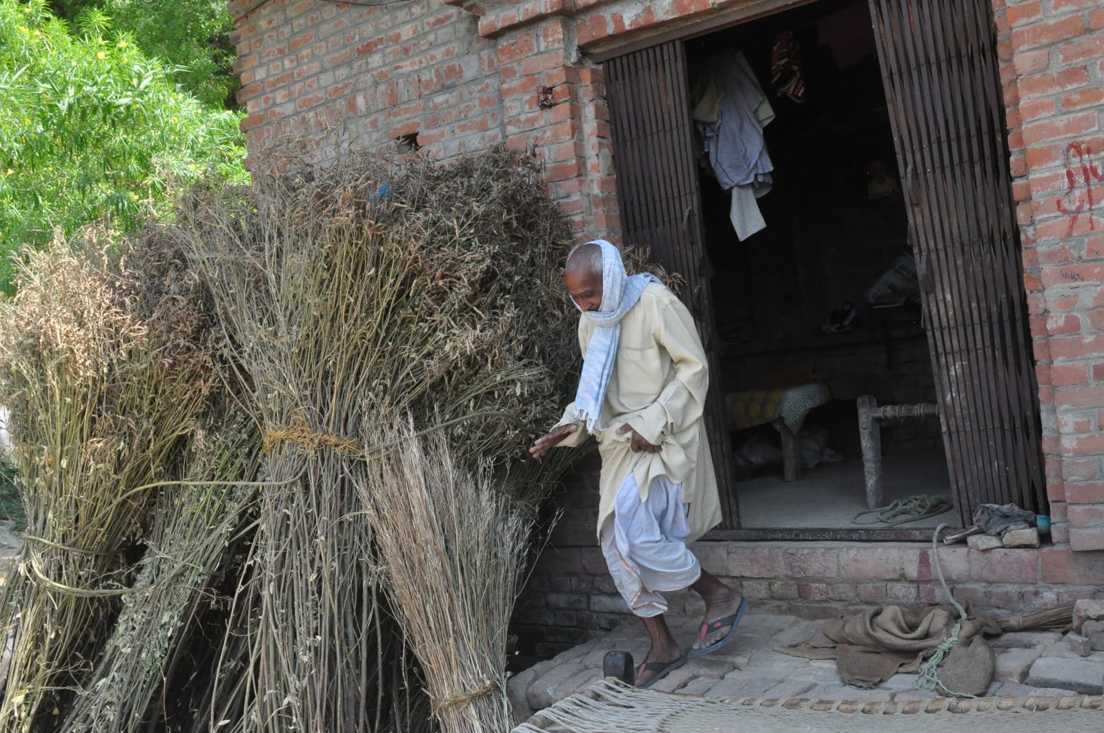 An older man at a brick doorway beside bundles of branches.