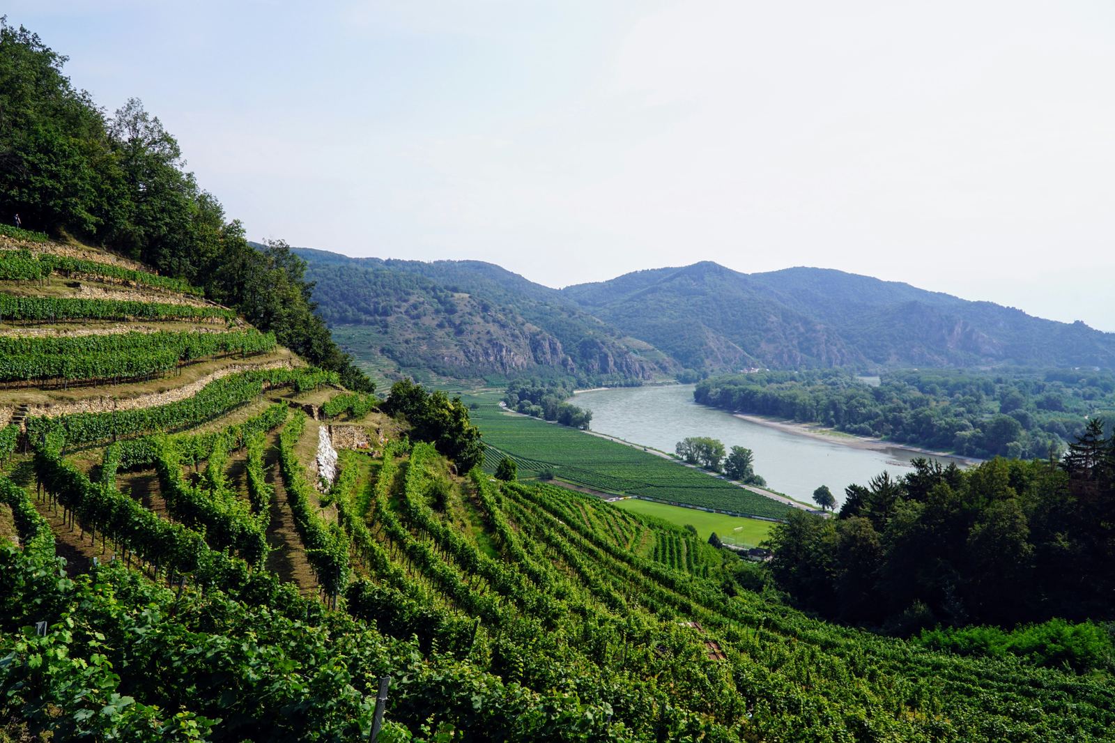 Donaubogen in der Wachau von oben