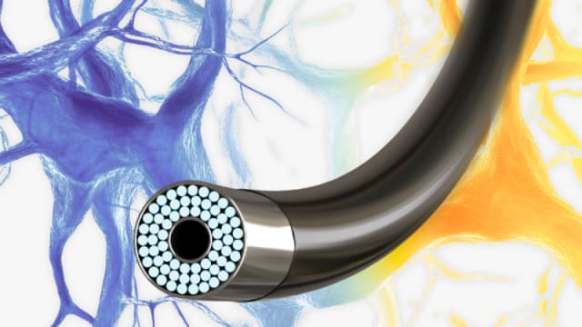Together to vascular excellence with MCM MEDSYS