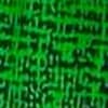 Emerald Grid Trim
