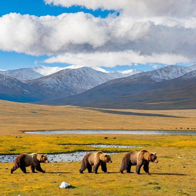 Deosai Plains