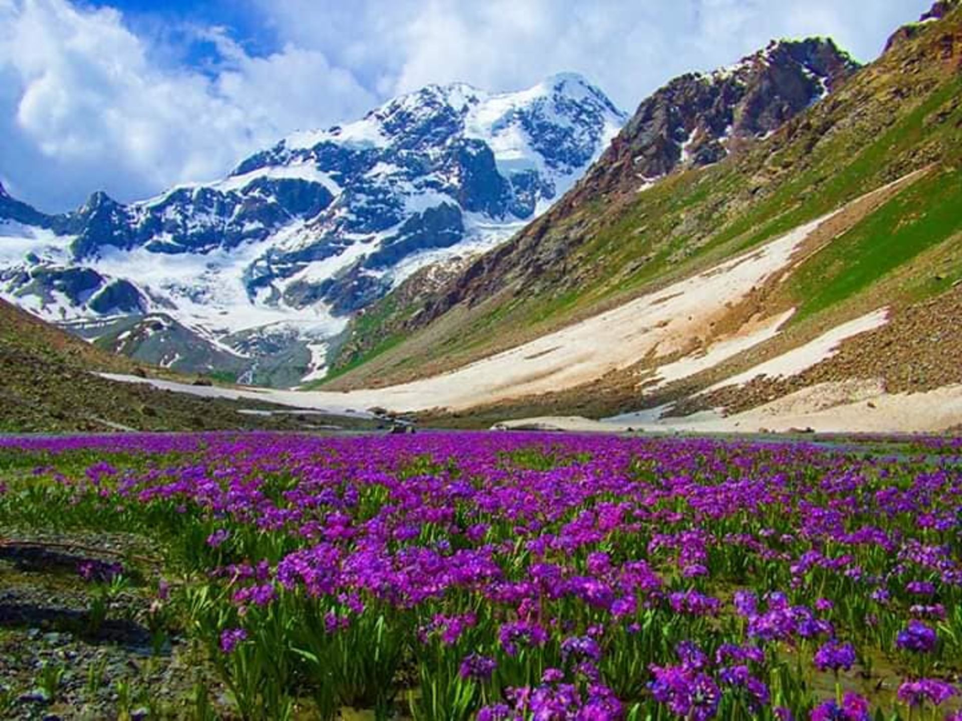 Yasin Valley: The Hidden Paradise of Gilgit-Baltistan