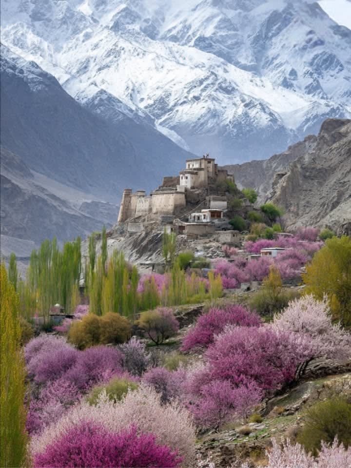 Hunza valley by Air