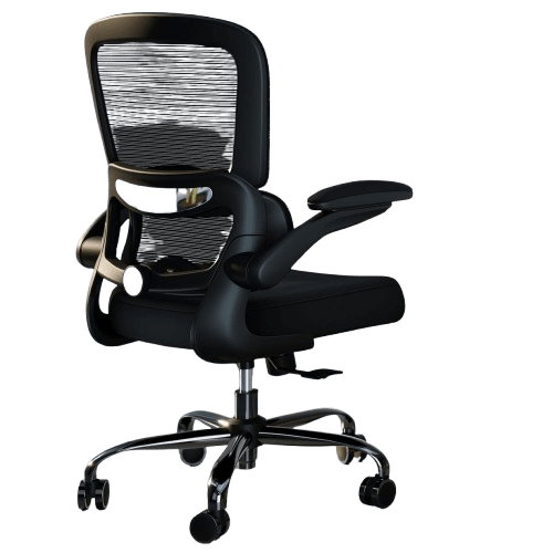 TRALT Ergonomic Office Chair - Adjustable Lumbar & Mesh