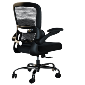 TRALT Ergonomic Office Chair - Adjustable Lumbar & Mesh