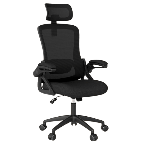 Fizzin Ergonomic Office Chair - High Back Mesh & Lumbar