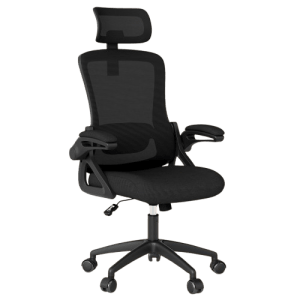 Fizzin Ergonomic Office Chair - High Back Mesh & Lumbar