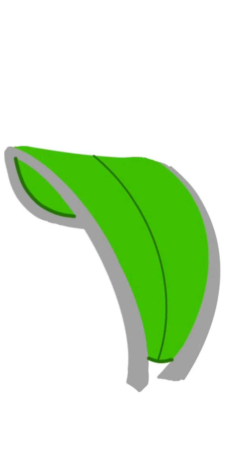 Dettaglio 7