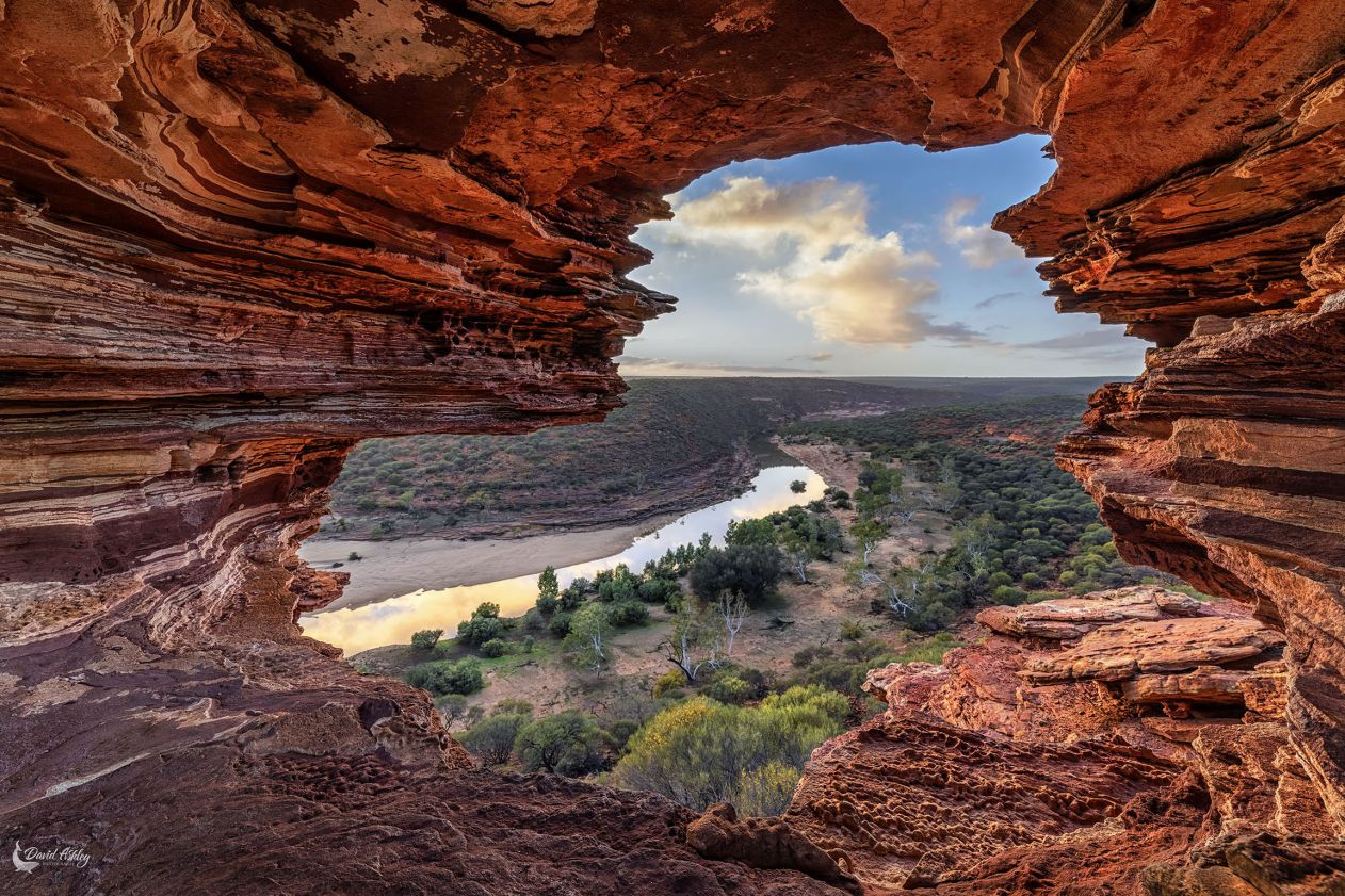 Natures Window by David Ashley, 2020 Winner